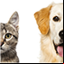 Pet Games